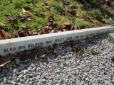image of grave number 931734